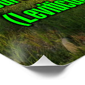 Leviticus 19:18 WEBU Poster (Ecke)