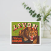 Levon Calfironia Melons Vintag Crate Label - Lion Postkarte (Stehend Vorderseite)