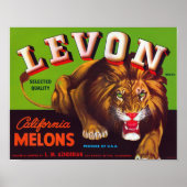 Levon California Melons Poster (Vorne)