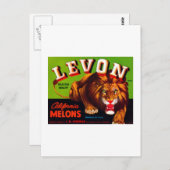 Levon California Melons Postkarte (Vorne/Hinten)