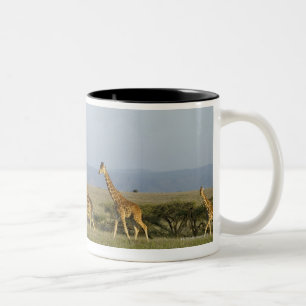 Lewa Tier-Erhaltung, Kenia Zweifarbige Tasse