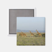 Lewa Wildlife Conservancy, Kenia Magnet (Vorderseite/Rückseite)