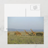 Lewa Wildlife Conservancy, Kenia Postkarte (Vorne/Hinten)