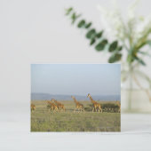 Lewa Wildlife Conservancy, Kenia Postkarte (Stehend Vorderseite)