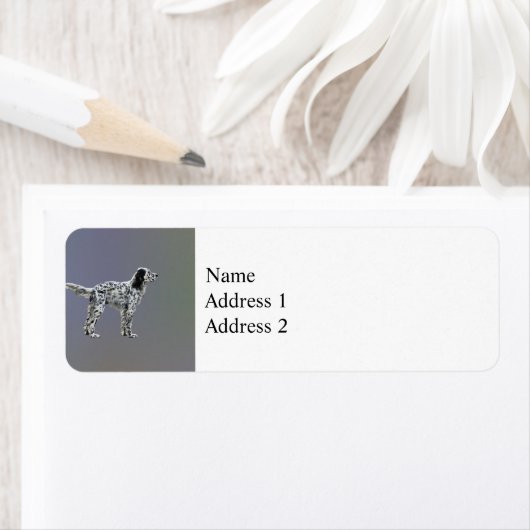 Lewellin Setter (Insitu)