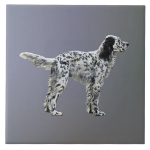 Lewellin Setter Fliese