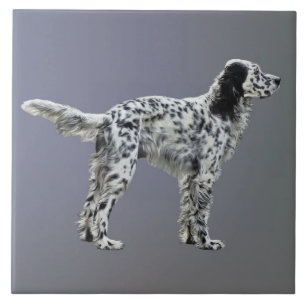 Lewellin Setter Fliese
