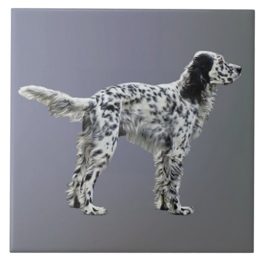 Lewellin Setter Fliese (Vorderseite)