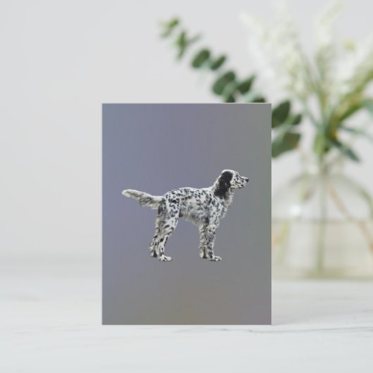 Lewellin Setter Postkarte (Stehend Vorderseite)