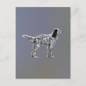 Lewellin Setter Postkarte (Vorderseite)