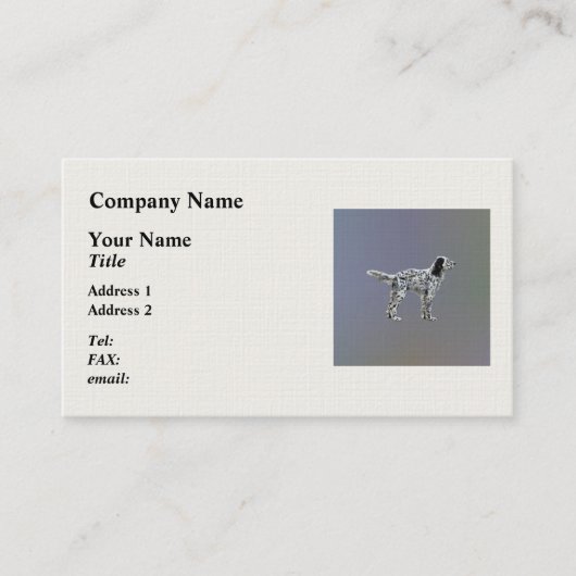 Lewellin Setter Visitenkarte (Vorderseite)