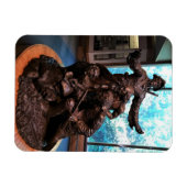 Lewis & Clark Statue, Fort Clatsop, Oregon Magnet (Horizontal)