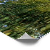 Lewis River Fall Poster (Ecke)