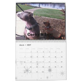 Lexi 2013 u. Freund-Hundekalender Kalender (Mär 2027)