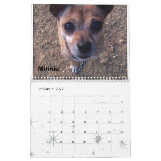 Lexi 2013 u. Freund-Hundekalender Kalender (Jan 2027)