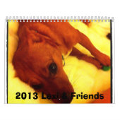 Lexi 2013 u. Freund-Hundekalender Kalender (Titelbild)