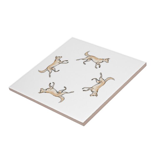 Lexi Trot   Fliese (Seite)