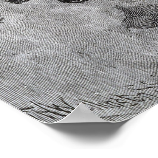 Lexington Green Poster (Ecke)