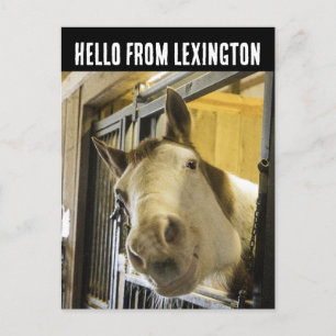 LEXINGTON KENTUCKY HORSE POSTCARD POSTKARTE