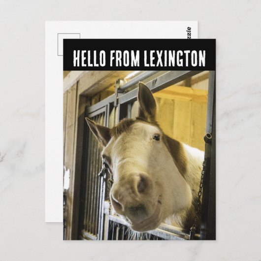LEXINGTON KENTUCKY HORSE SMILING FUNNY POSTCARD POSTKARTE (Vorne/Hinten)