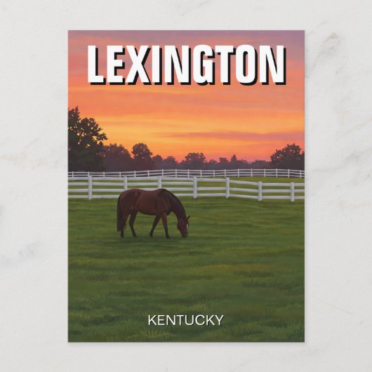 Lexington Kentucky Postcard Horse Sunset Postkarte (Vorderseite)