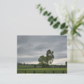 Lexington, Kentucky Postkarte (Stehend Vorderseite)