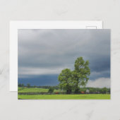 Lexington, Kentucky Postkarte (Vorne/Hinten)