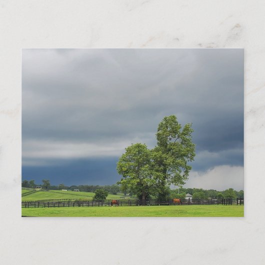 Lexington, Kentucky Postkarte (Vorderseite)