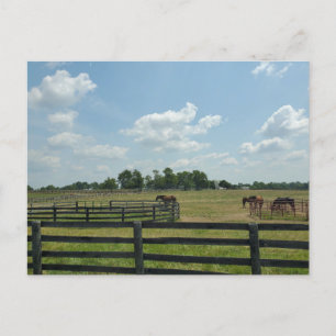 Lexington, Kentucky Postkarte