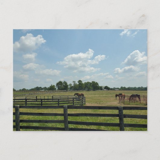 Lexington, Kentucky Postkarte (Vorderseite)