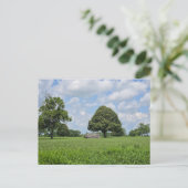 Lexington, Kentucky Postkarte (Stehend Vorderseite)