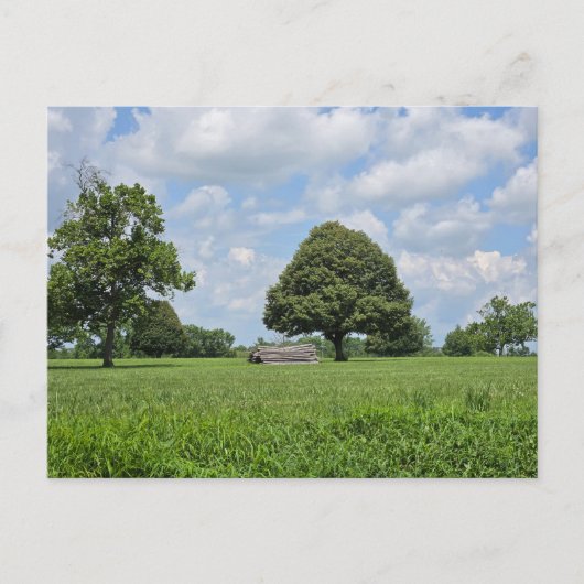 Lexington, Kentucky Postkarte (Vorderseite)