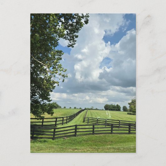 Lexington, Kentucky Postkarte (Vorderseite)