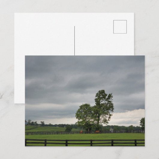 Lexington, KY Postkarte (Vorne/Hinten)