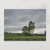 Lexington, KY Postkarte (Vorderseite)