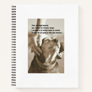 Leyenda sobre adoptar animales notizblock