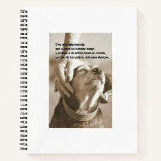Leyenda sobre adoptar animales notizblock
