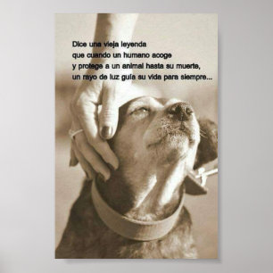 Leyenda sobre adoptar animales poster