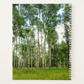 LG Planer Quaking Aspens @ Yellowstone (Rückseite)