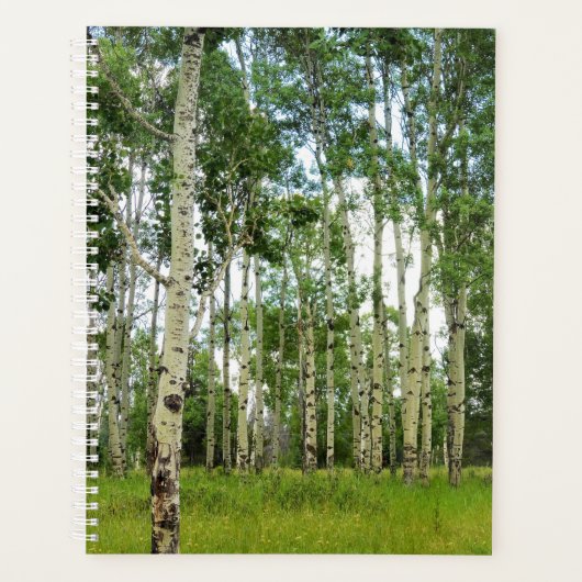 LG Planer Quaking Aspens @ Yellowstone (Vorderseite)