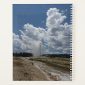 LG Planner Alter feiner Geyser Planer (Rückseite)