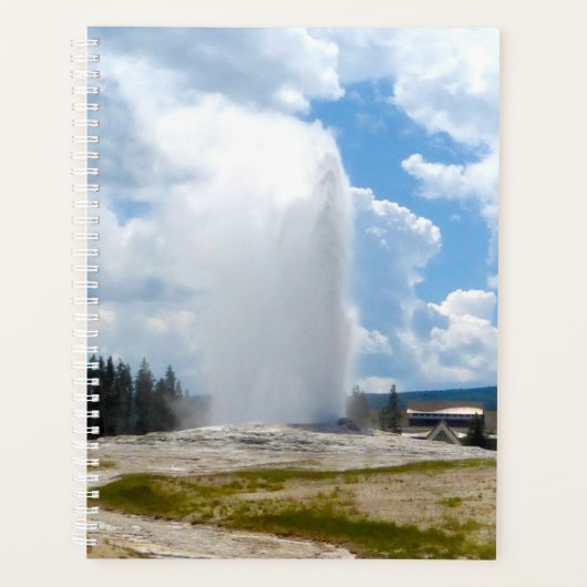 LG Planner Alter feiner Geyser Planer (Vorderseite)