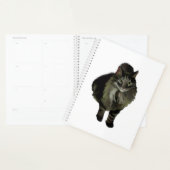LG Planner Maine Coon Cat Planer (Anzeige)