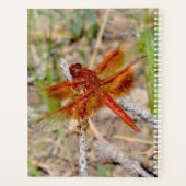 Lg Planner Orange Dragonfly Planer (Rückseite)