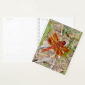 Lg Planner Orange Dragonfly Planer (Anzeige)