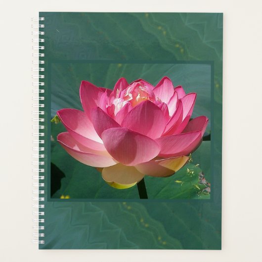 LG Planner Pink Lotus Planer (Vorderseite)