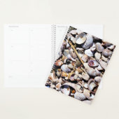 LG Planner Seashells Planer (Anzeige)
