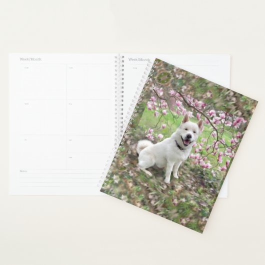 LG Planner White Akita Planer (Anzeige)