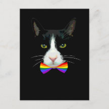 LGBT Gay Cat mit Rainbow Bow Krawatte