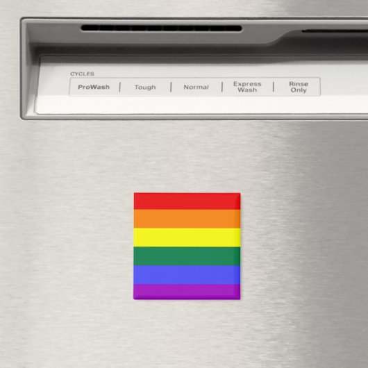 LGBT-Pride-Magnete Magnet (In Situ (Geschirrspüler))